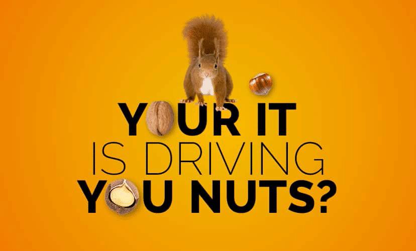 Eichhörnchen mit Nüssen und der Überschrift "Your IT is driving you nuts?" auf orangenem Hintergrund