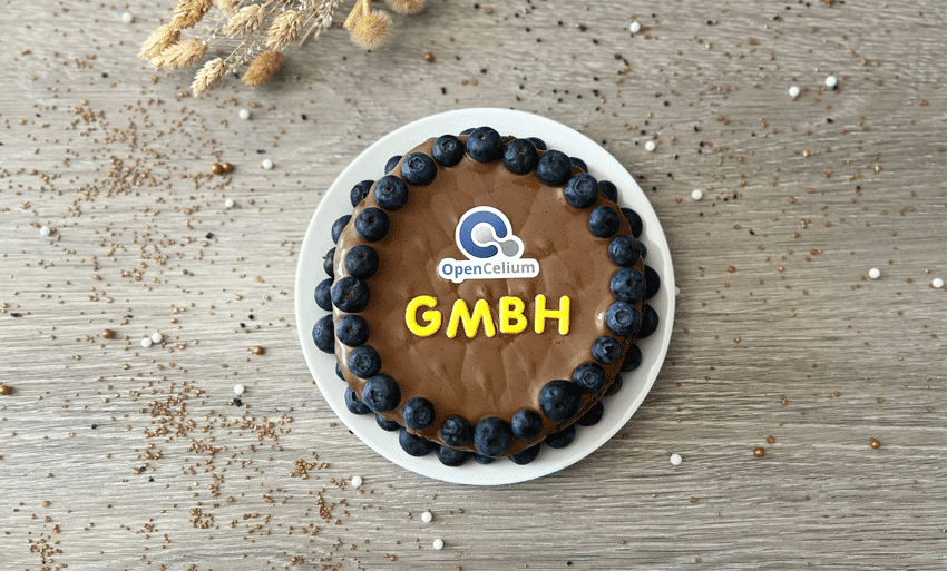 Foto eines Schokoladenkuchens von oben, mit der Abbildung des OpenCelium Logos und der Aufschrift “GMBH”, anlässilich der Gründung der OpenCelium GmbH.